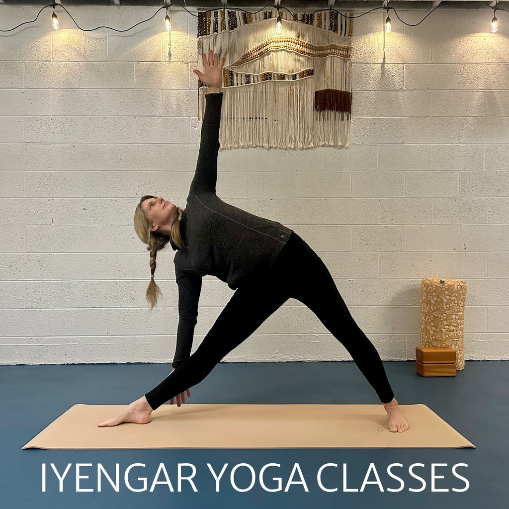 Iyengar Yoga Series- Spring Session registration NOW open!